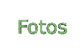 Galera de Fotos